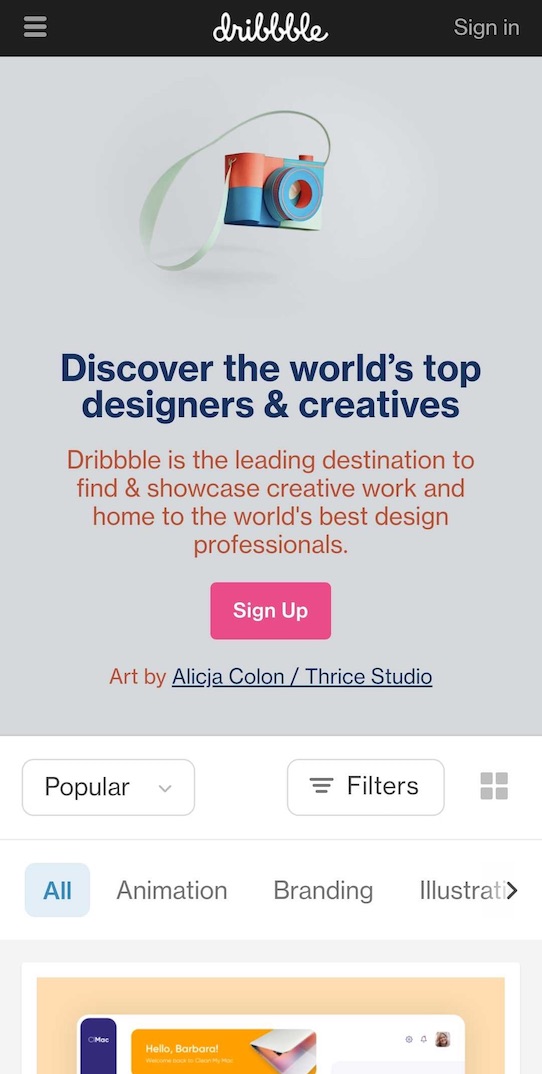 image dribbble page screenshot